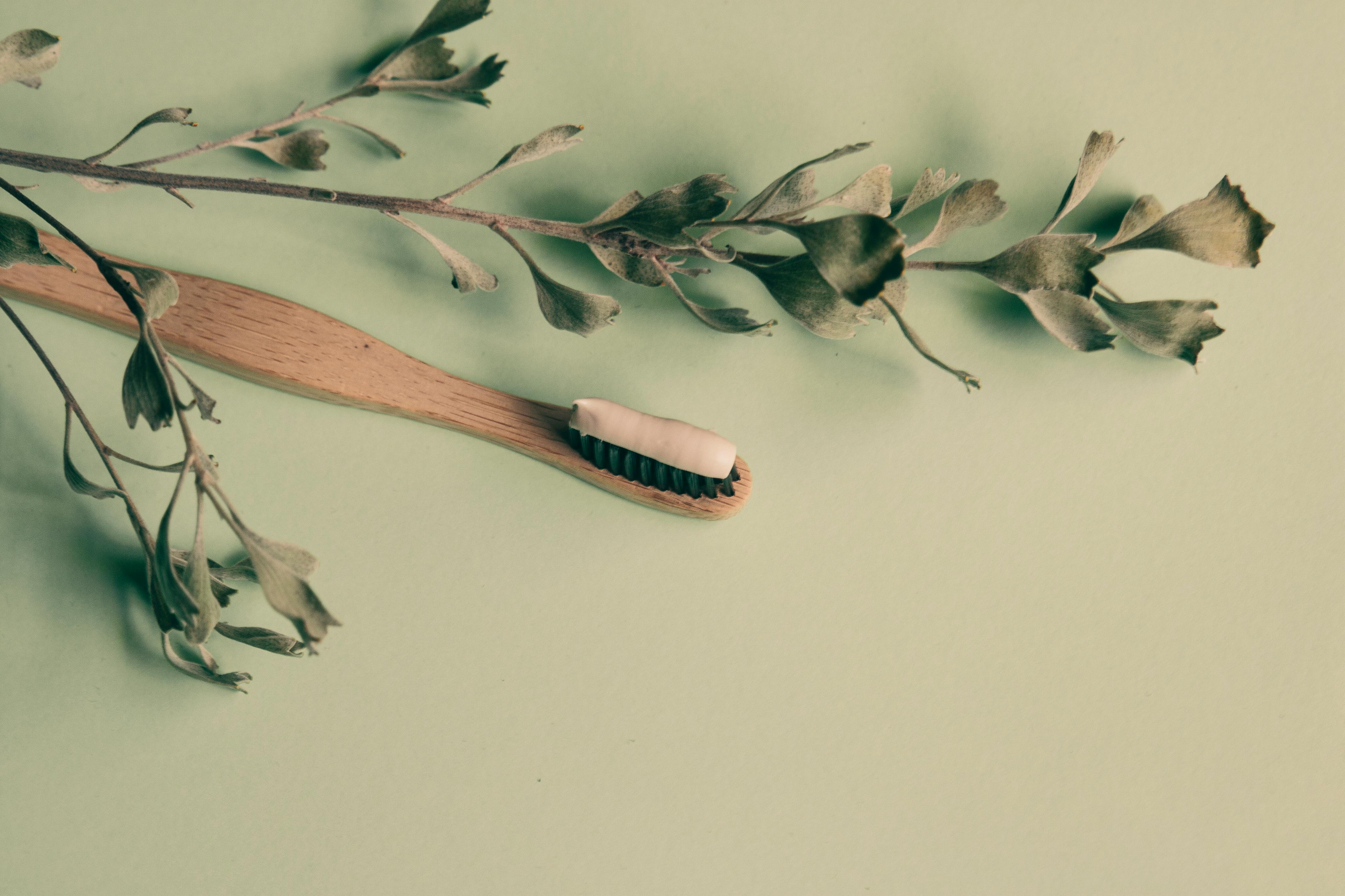 overhead shot of a wooden toothbrush near a dry plant