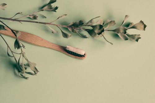 Free Overhead Shot of a Wooden Toothbrush Near a Dry Plant Stock Photo