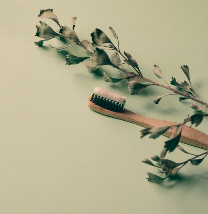 Gratis lagerfoto blade, børste, baggrund, plante, tandbørste, tandpasta, tandpleje, træ