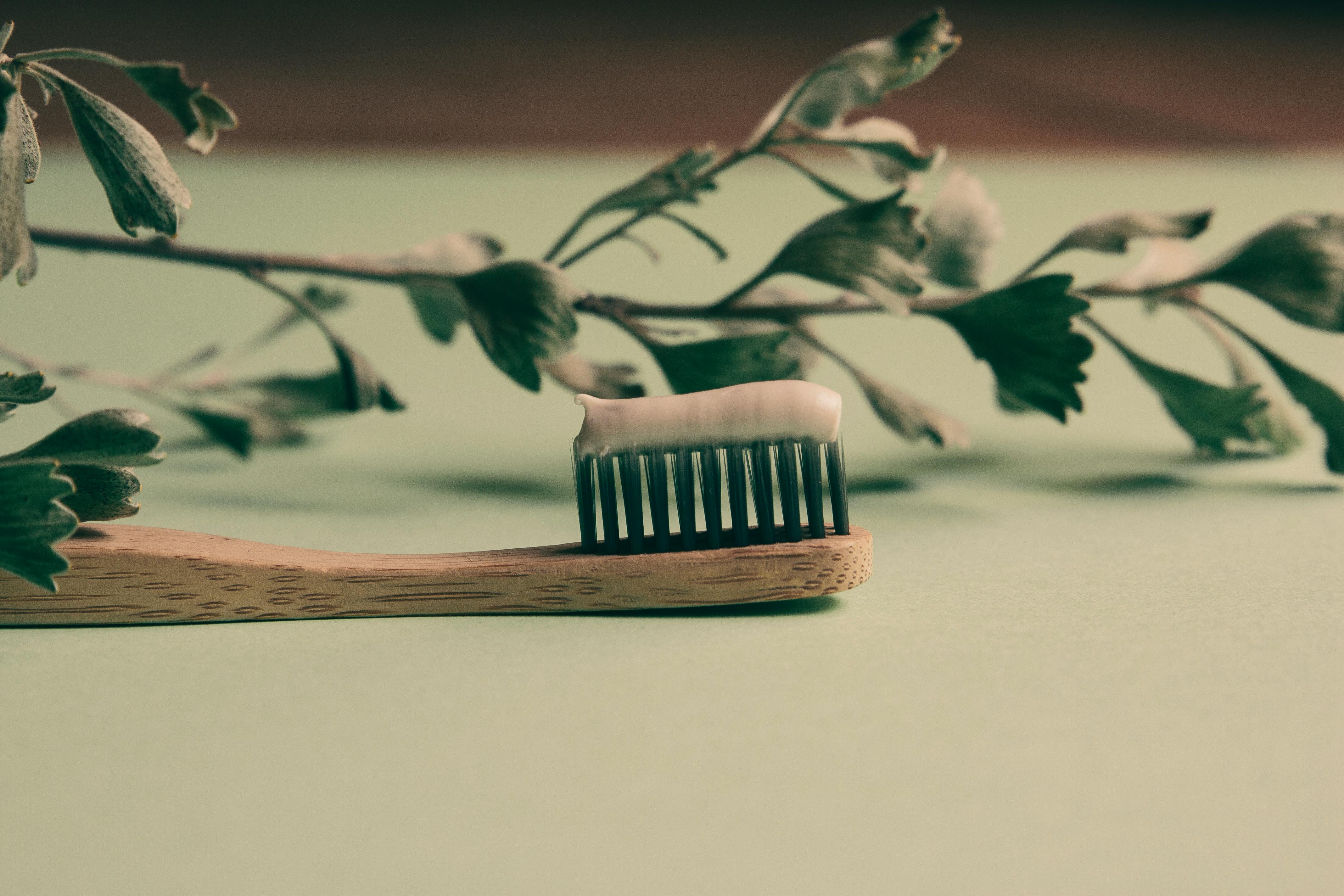 Wooden toothbrush with toothpaste against a plant background, emphasizing natural oral care.