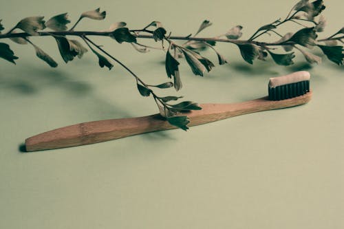 Close-Up Photo of a Wooden Toothbrush Near a Dry Plant