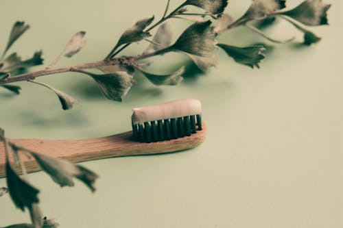 A Natural Wooden Toothbrush with Toothpaste