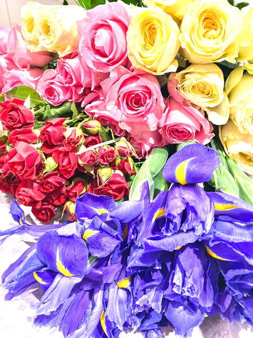Fotos de stock gratuitas de arreglo floral, clasificado, colores