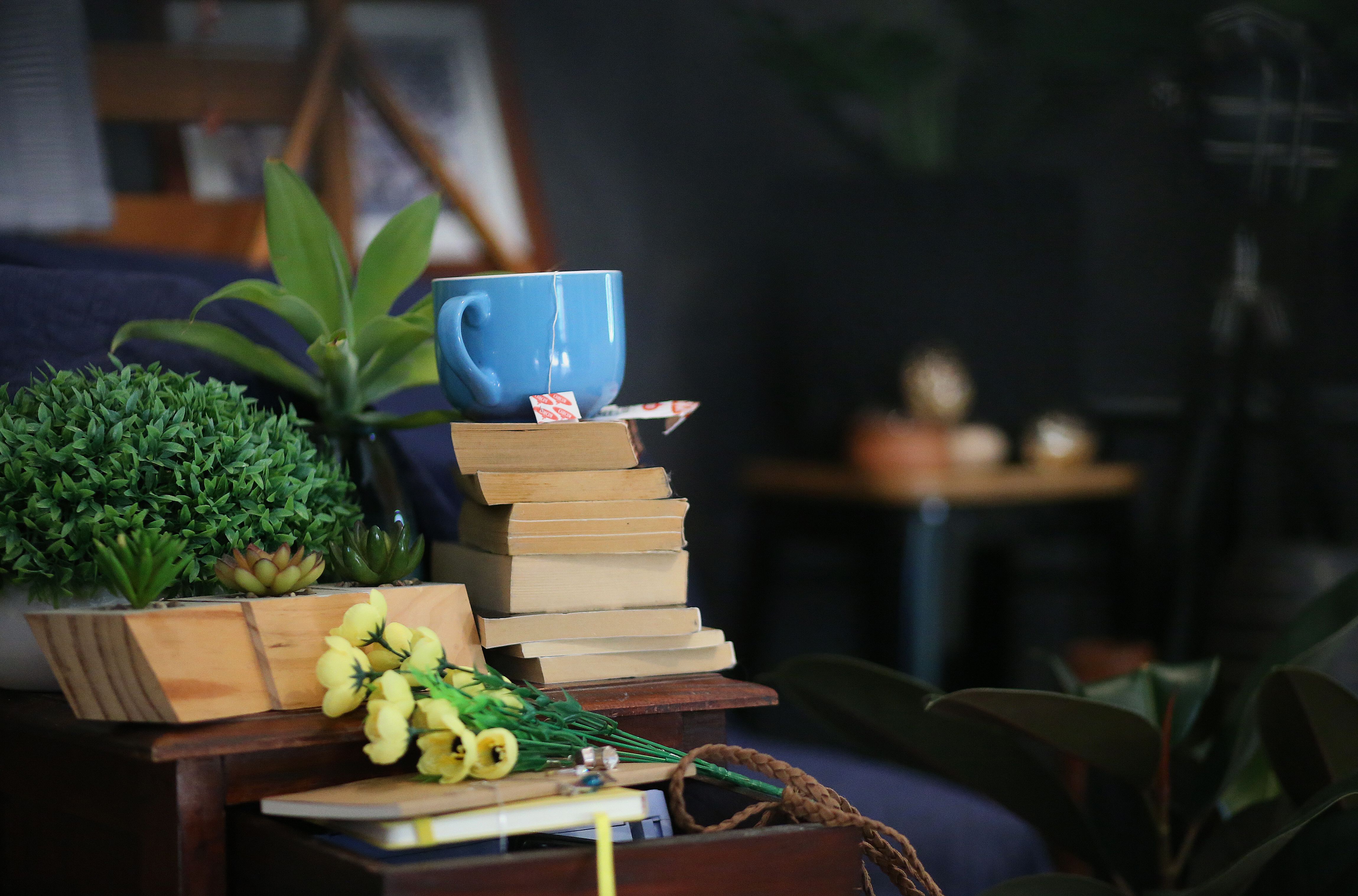 cozy living room with stacked books, a chipped ceramic vase, and warm lighting