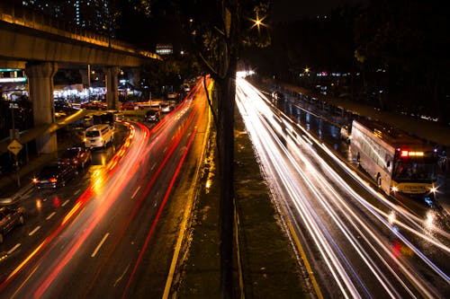 Free stock photo of against the light, malaysia