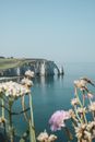 The Sea Arch and the Aval Cliff in the Alabaster Coast