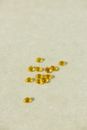 Brown Beads on White Surface