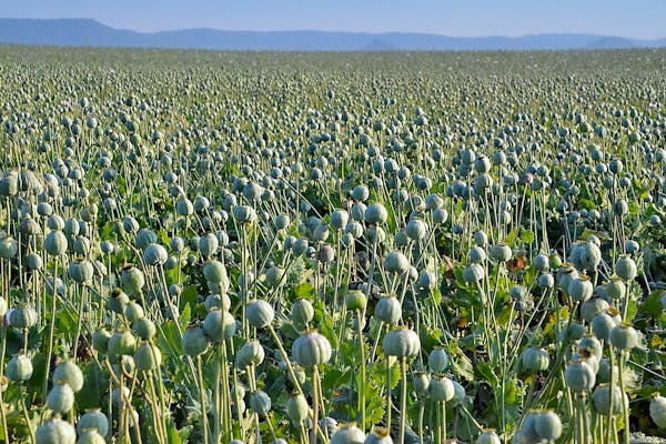 Drug discovery workflow visualization