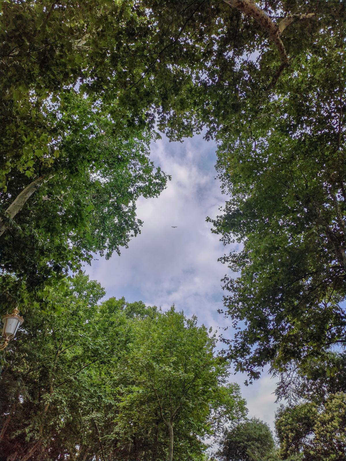 Gentle stretching exercises for seniors