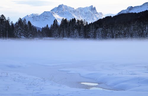 免费 冬季景觀, 冷冰的, 大雪覆盖 的 免费素材图片 素材图片