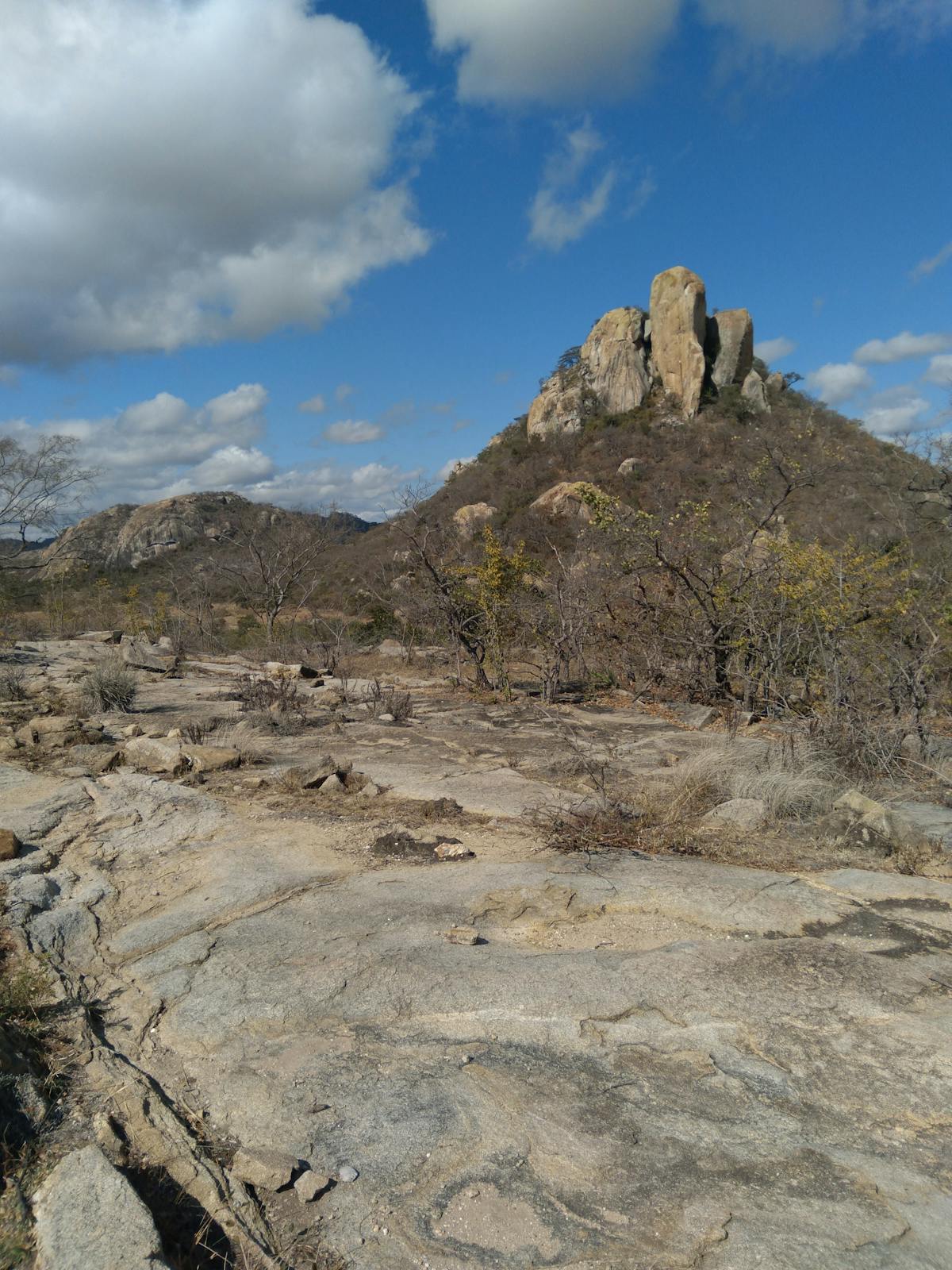 Bowl of cottage cheese topped with fresh fruit and nuts