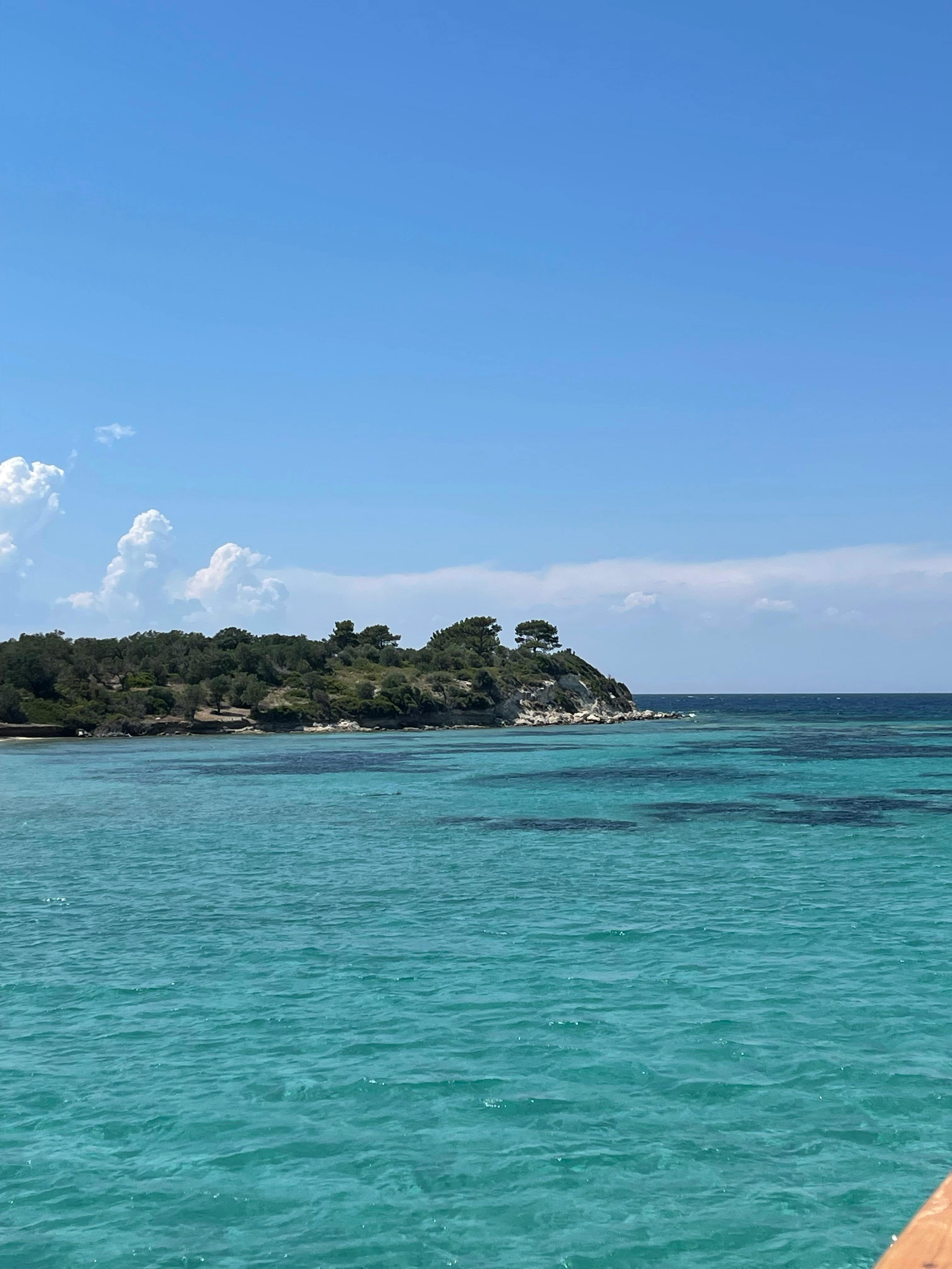 Whipped cottage cheese bowl with berries and seeds