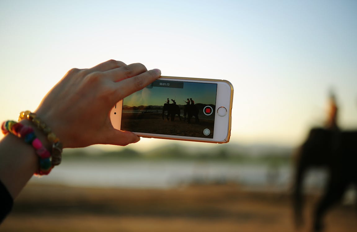 Základová fotografie zdarma na téma chytrý telefon, dáma, makro