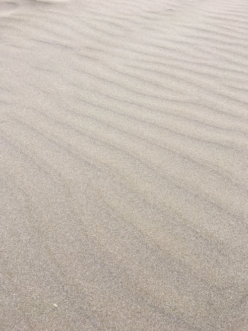 Free stock photo of 2020 background, back view, beach sand