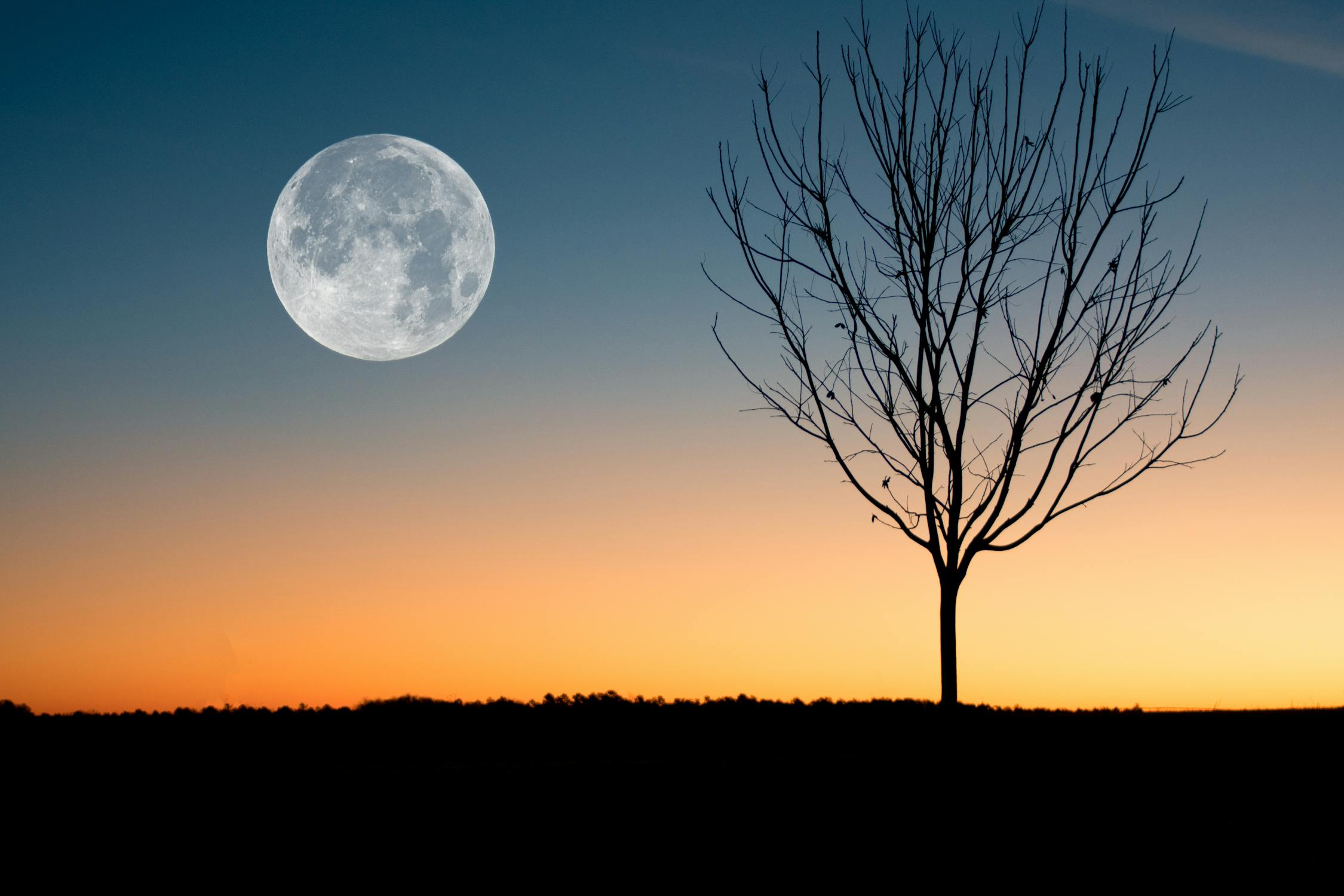 Full Moon On A Daybreak Free Stock Photo Full Moon On A Daybreak Free Stock Photo