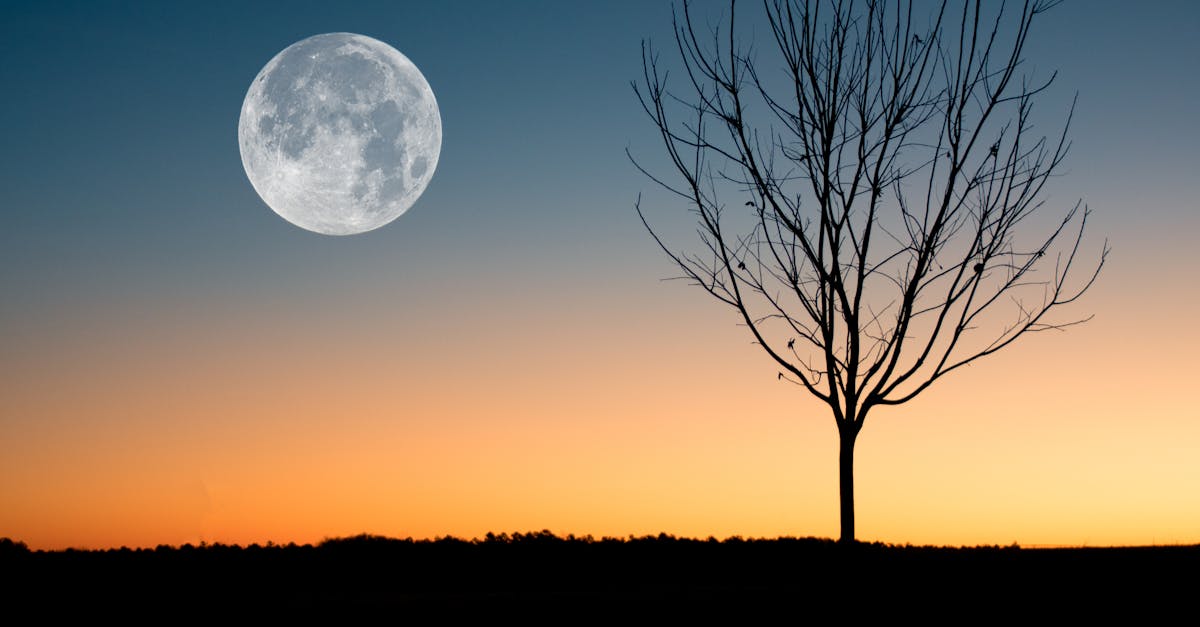 What does Bella Luna mean in Italian