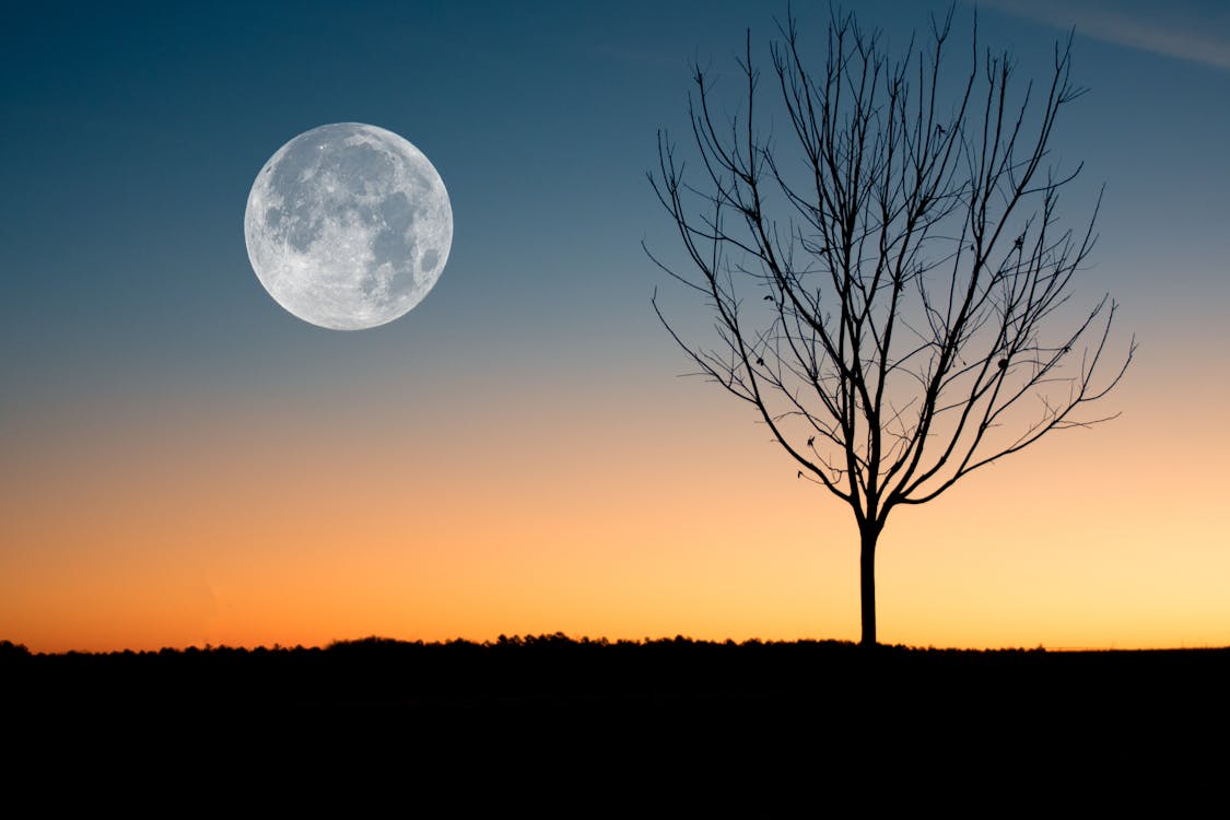 gratis Illustratie Van De Maan Die Tijdens Zonsondergang Wordt Weergegeven Stockfoto