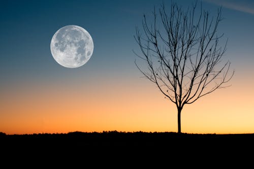 2025 Supermoons: Two More Opportunities To Look Up