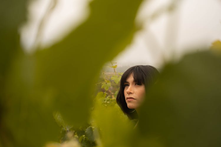 A Woman Standing In The Middle Of Vineyard