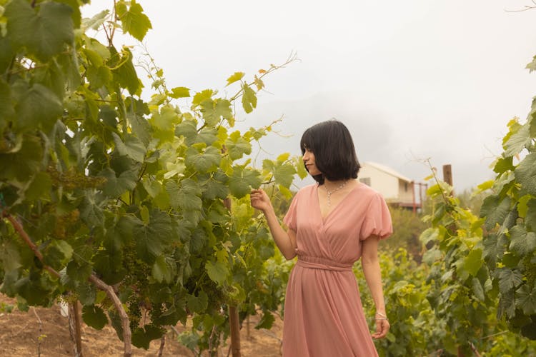 Woman In Pink Dress Beside Green Plants