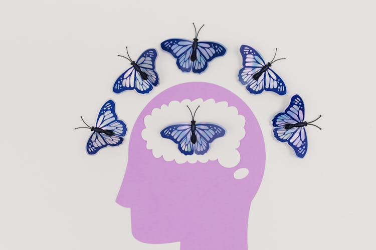 Purple And White Butterfly Illustration