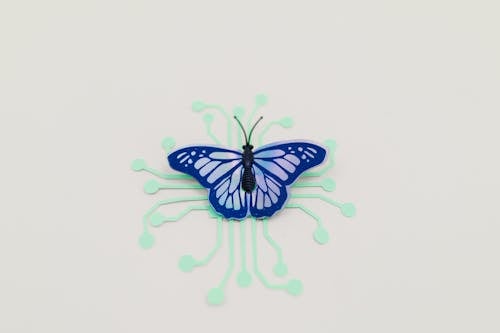 Black and Blue Butterfly Illustration