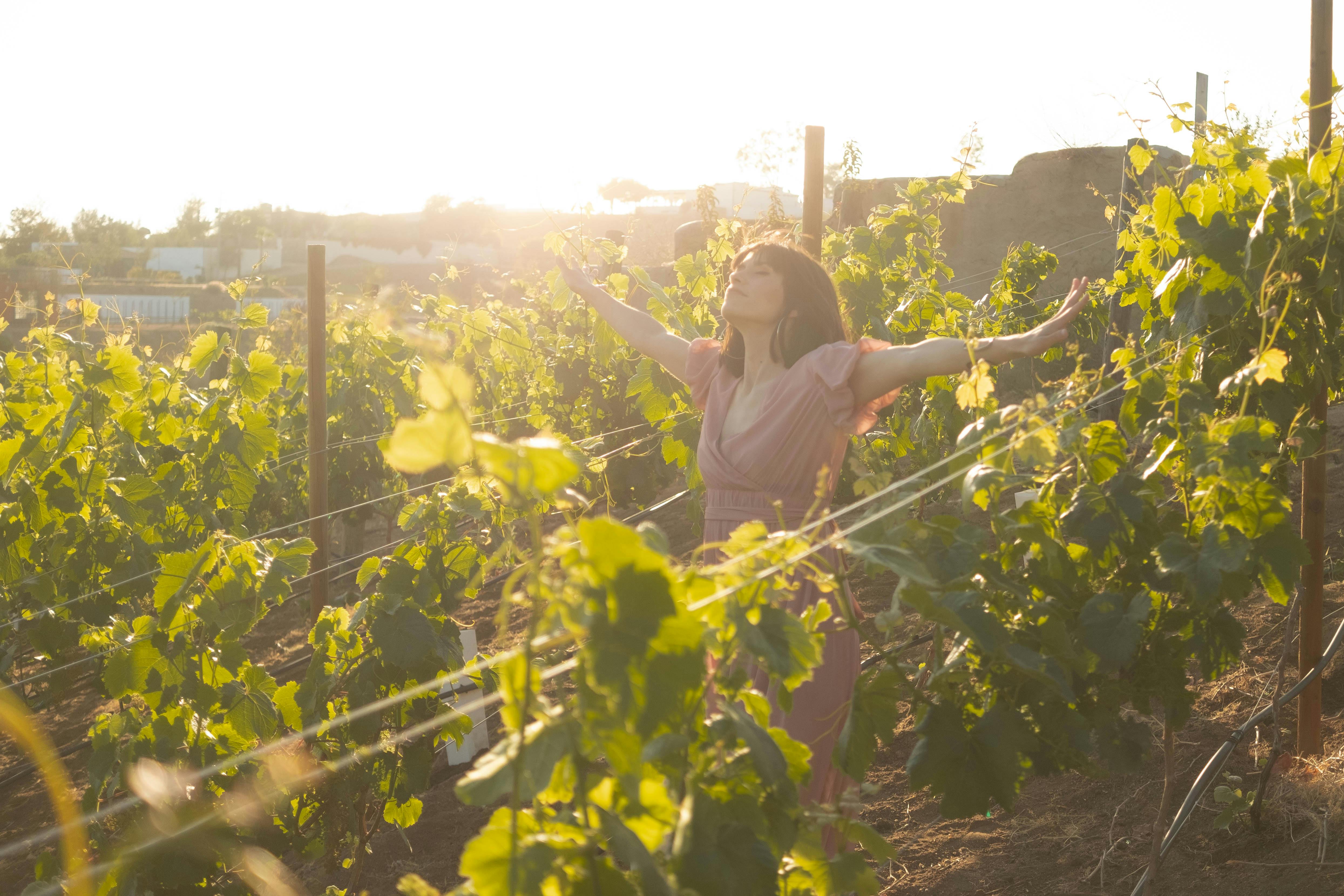 a woman wearing a dress in a vineyard