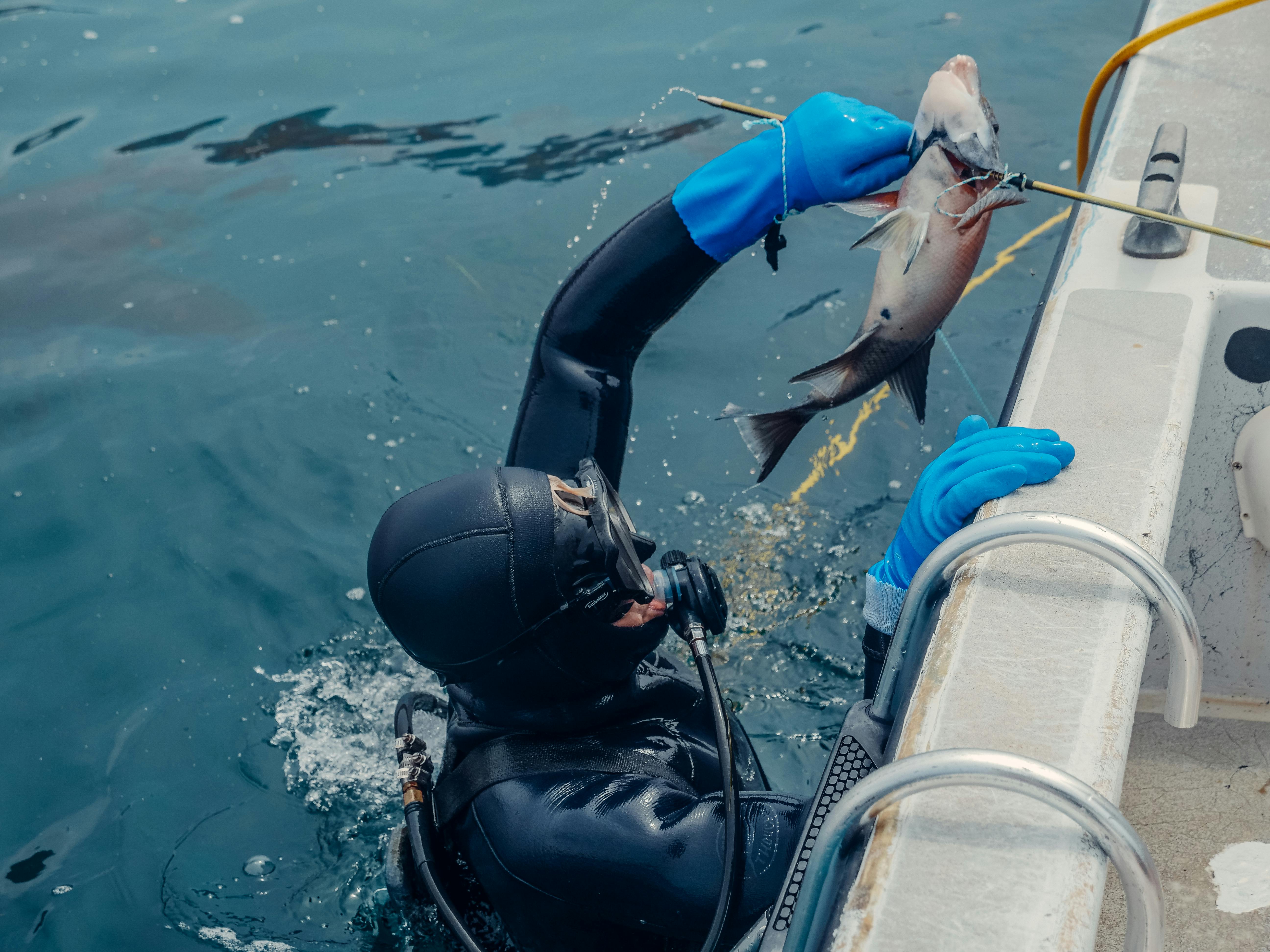 man in black wet suit holding blue and black water hose