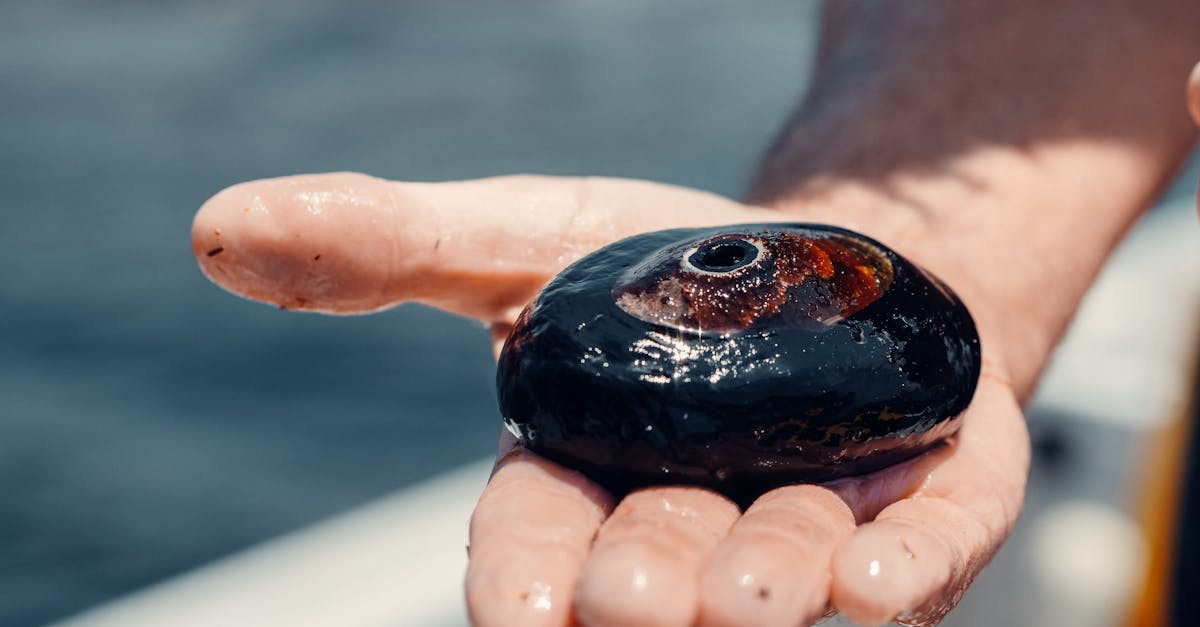 男獨居山洞逾20年 拒絕現代生活無電無網靠2招生存畫面曝光