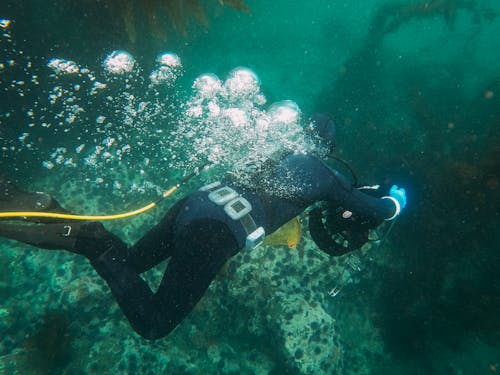 Person in a Black Wetsuit Under Water