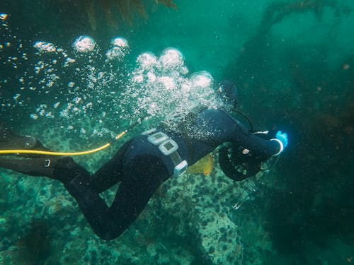 Immagine gratuita di acqua, anonimo, bolle