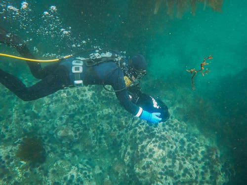 A Scuba Diver with an Underwater Scooter