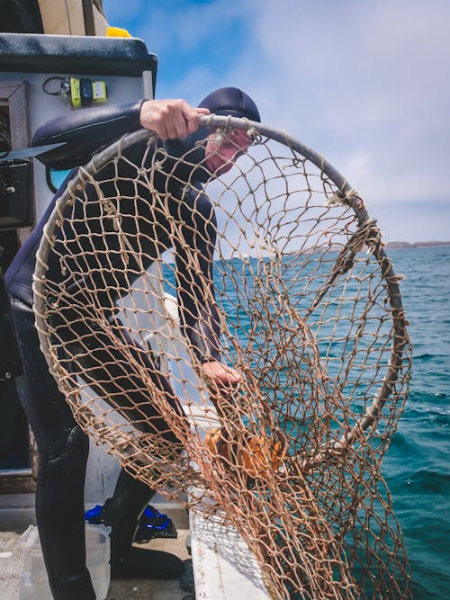 Free Man in Black Wetsuit Holding A Fishing Net Stock Photo