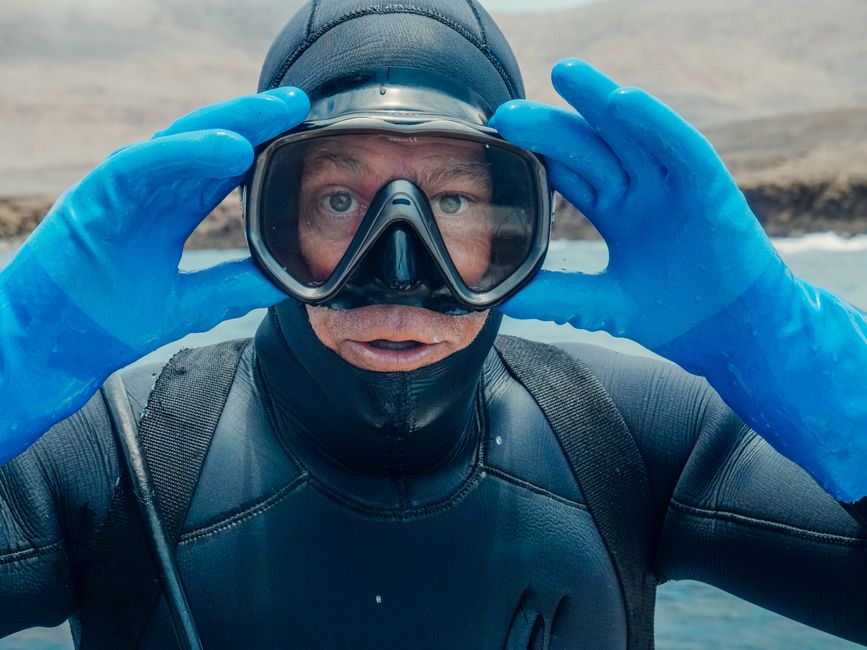 Comparing Value: Is the Ninja Professional dive Mix Worth the Investment?