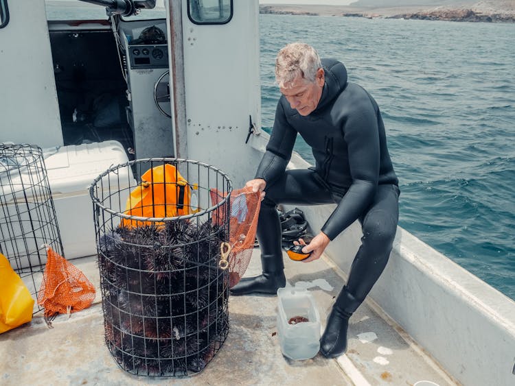 A Basket Of Sea Urchins On A Fishing Boat