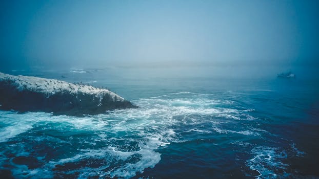 Foggy seascape with crashing waves and rocky coastline in California.
