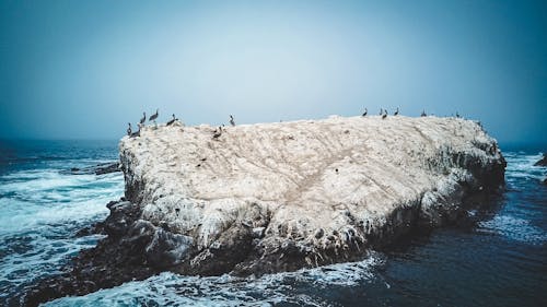 Photo of Rock Formation on Beach
