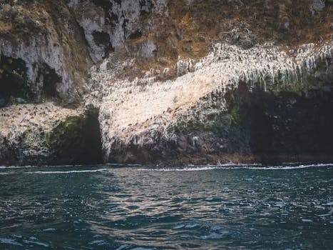 Seaside cave with rocky cliffs, home to a large bird colony, ideal for nature exploration.