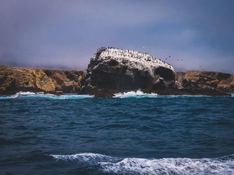 Scenic view of a rocky island surrounded by ocean waves and populated with seabirds.