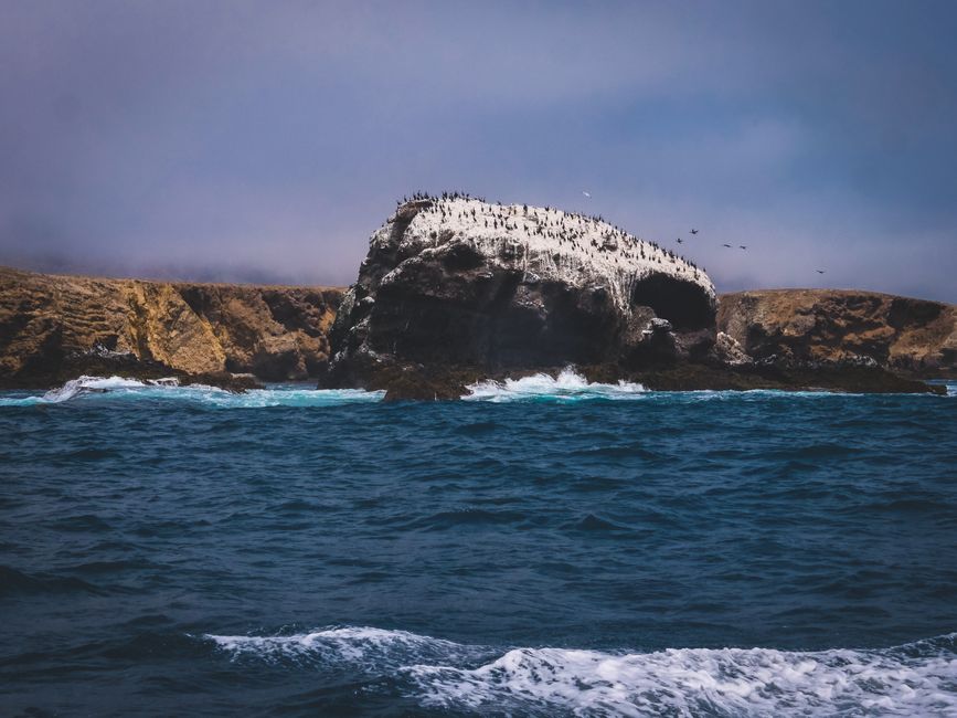 Scenic view of a rocky island surrounded by ocean waves and populated with seabirds.