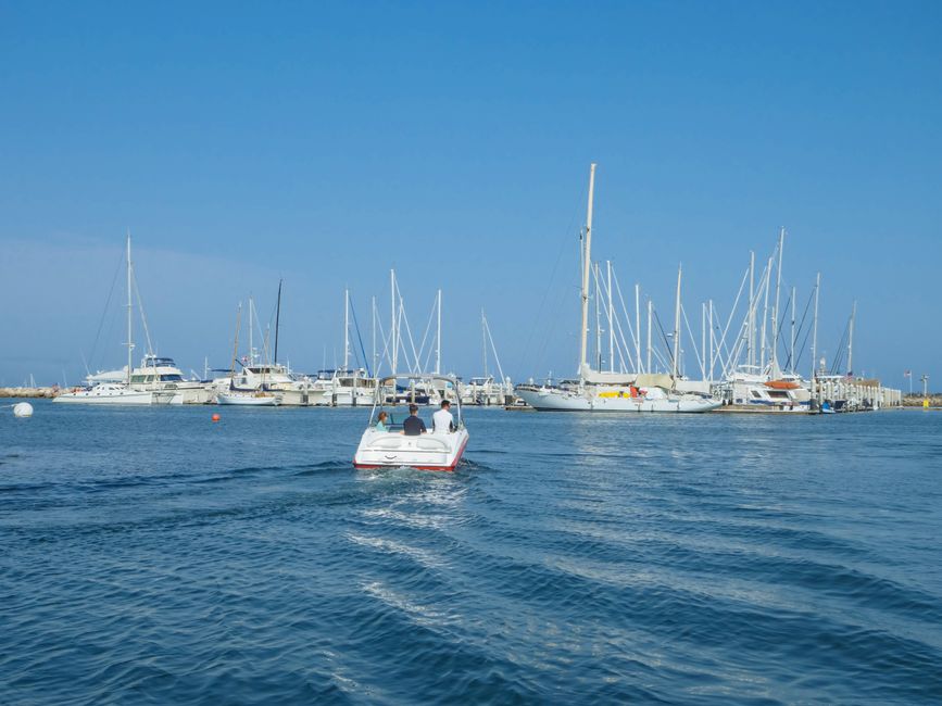 Unbeatable Diamond Head Sunset Sail Review: Hawaii's Most Romantic Yacht Experience Review 2026 - A tranquil yacht harbor with various boats under a clear blue sky, ideal for leisure travel and sailing.