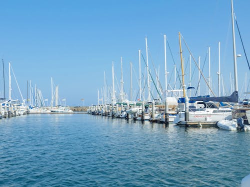 Docked Boats on Marina