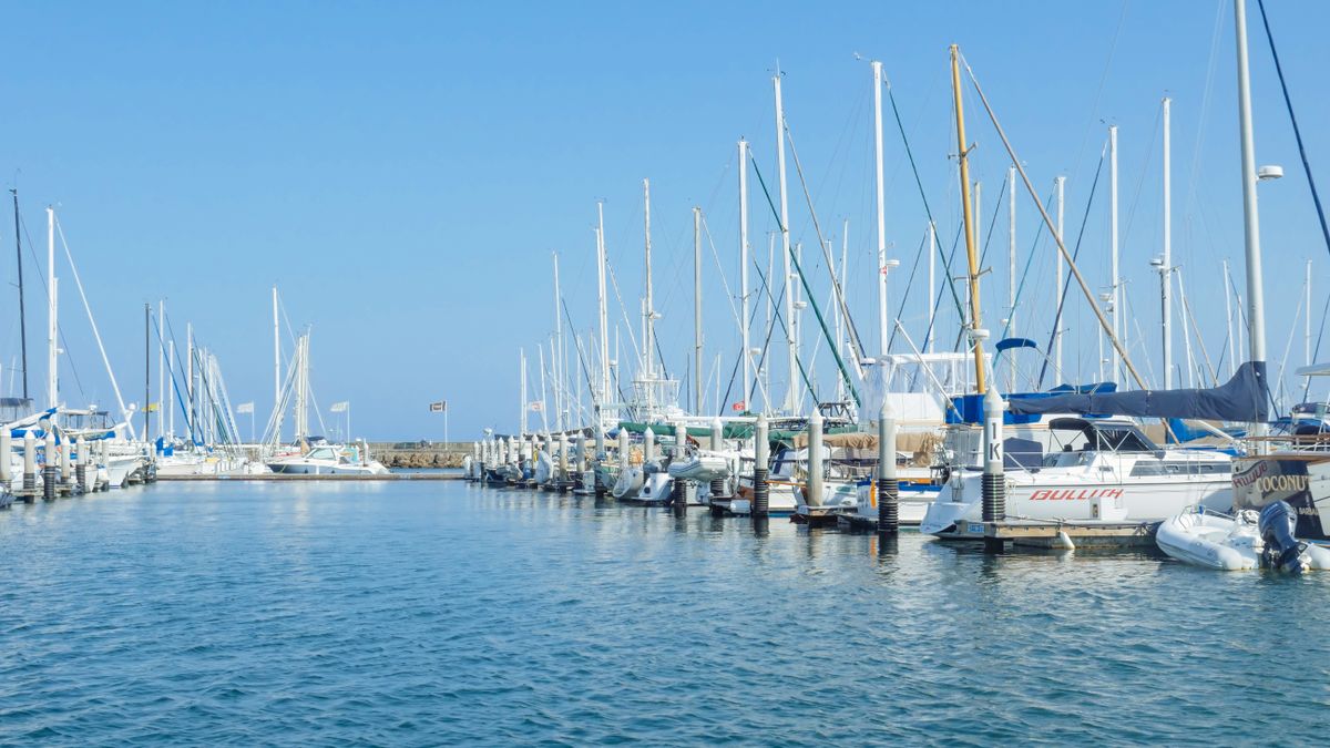 Top Corpus Christi, TX Product Giveaways With No Purchase Necessary: Safe Entry Guide