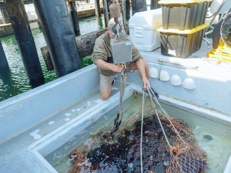 A fisherman works with fishing equipment on a boat in Santa Barbara harbor.