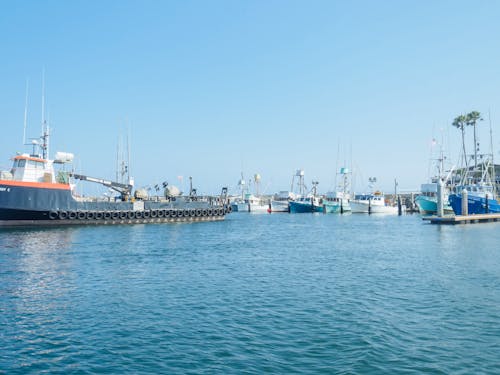 balıkçı tekneleri, deniz, deniz araçları içeren Ücretsiz stok fotoğraf