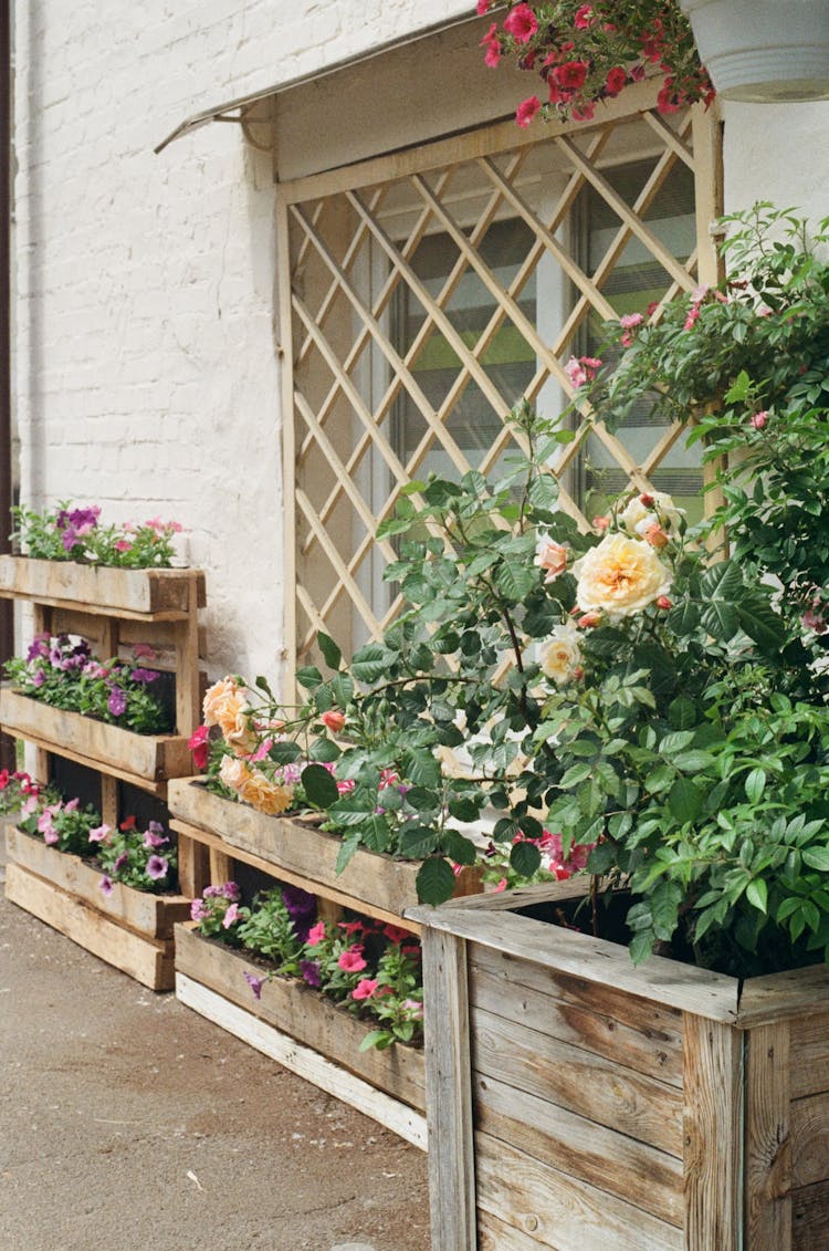 Garden Flowers On Wooden Planters