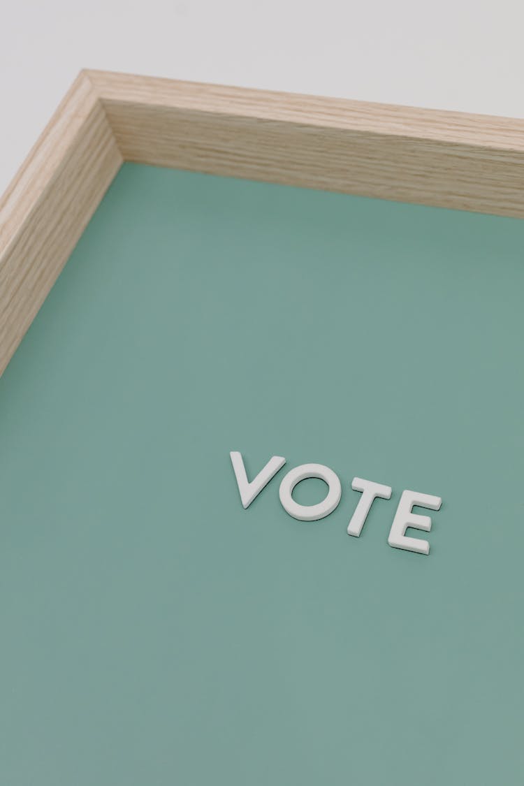 The Word Vote On Wooden Frame