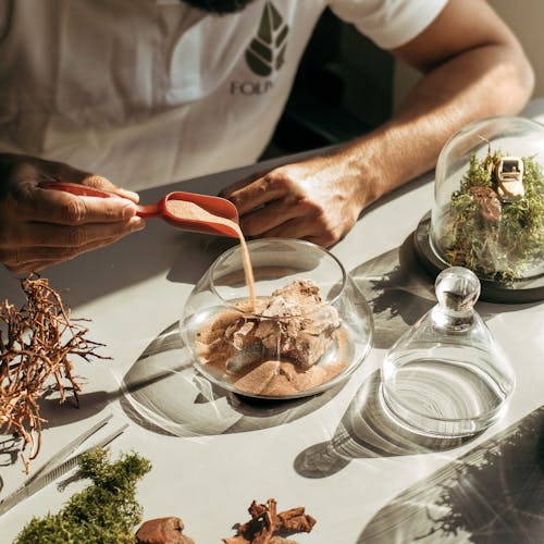 Person Pouring Sand on Glass Container Making a Terrarium