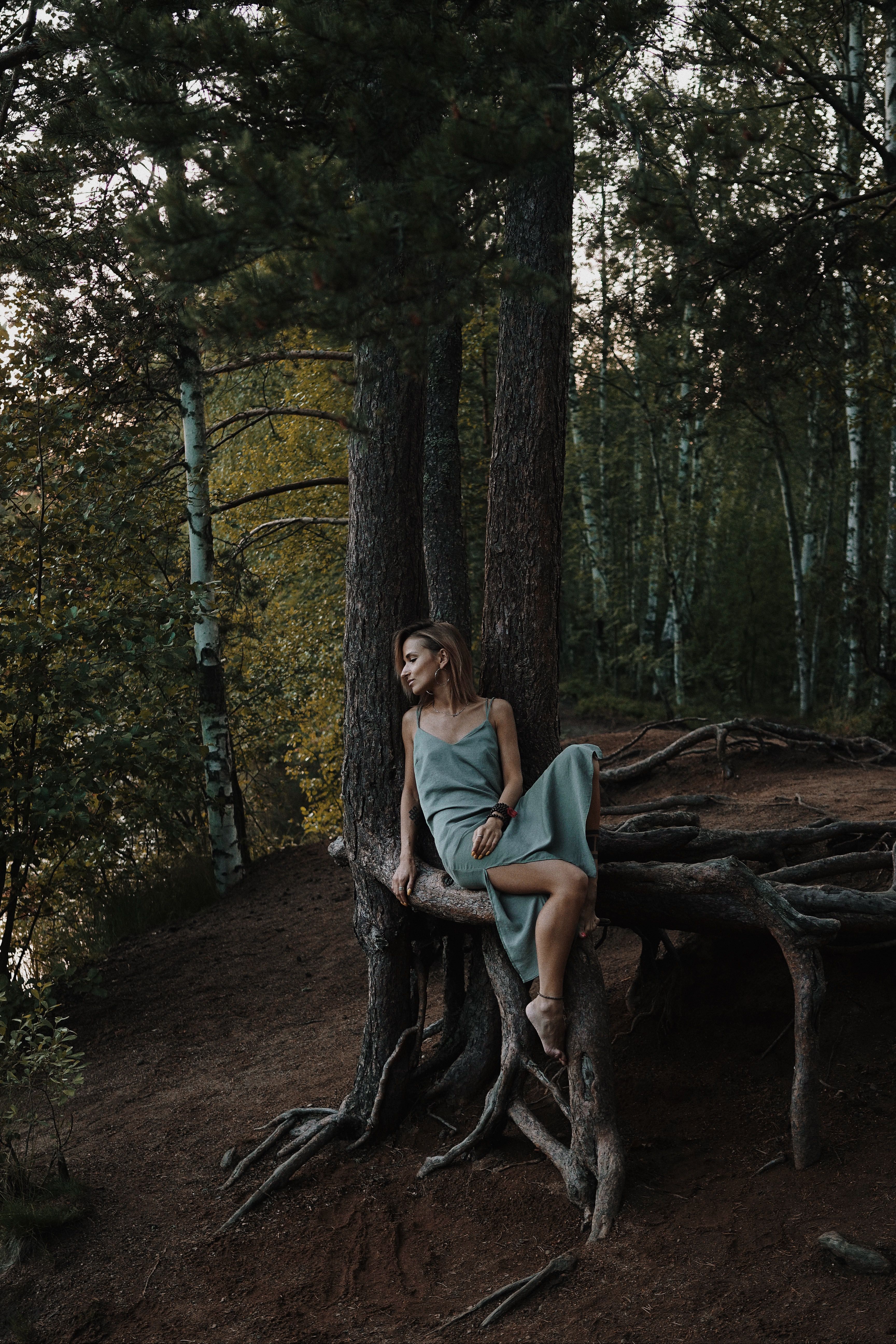 Woman in Gray Dress Sitting on a Tree · Free Stock Photo