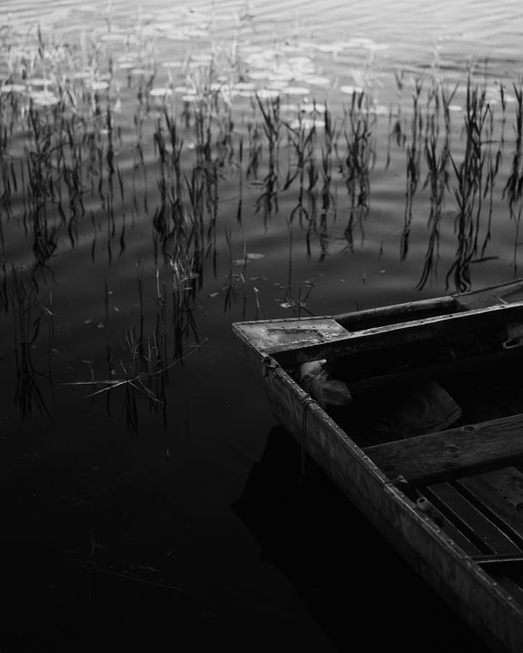 Grayscale Photo Of Boat In The Water